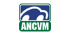 Asociación Nacional de Clubs VW de México