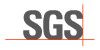 Société Générale de Surveillance México